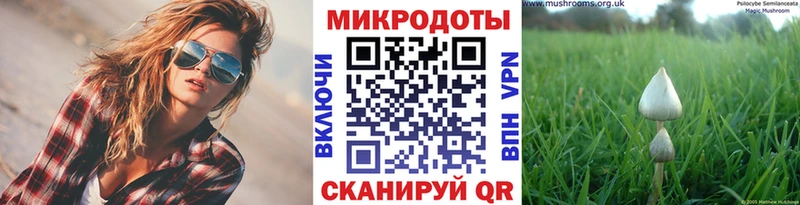 Галлюциногенные грибы Cubensis  купить  сайты  Зима 
