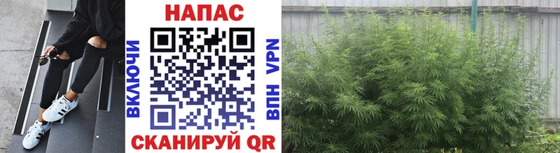 Бошки Шишки AK-47 Зима