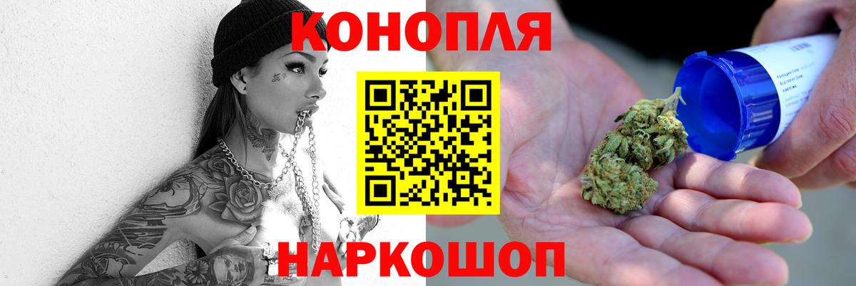 Канабис сатива Зима